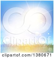 Clipart Of A Background Of Grass Under A Sunny Sky With Flares Royalty Free Vector Illustration
