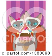 Romantic Siamese Cat Couple Sharing An Ice Cream Cone