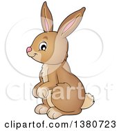 Poster, Art Print Of Cute Brown Bunny Rabbit