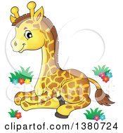 Poster, Art Print Of Cute Baby Giraffe Resting