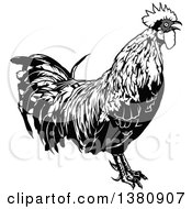 Poster, Art Print Of Grayscale Rooster