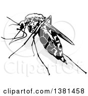 Poster, Art Print Of Black And White Mosquito And Gray Shadow