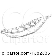 Clipart Of A Dark Gray Sketched Pea Pod Royalty Free Vector Illustration