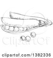 Clipart Of Dark Gray Sketched Pea Pods Royalty Free Vector Illustration