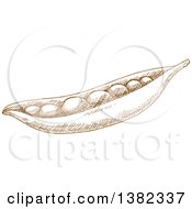 Clipart Of A Brown Sketched Pea Pod Royalty Free Vector Illustration