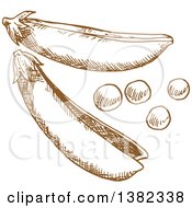 Clipart Of Brown Sketched Pea Pod Royalty Free Vector Illustration