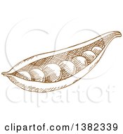 Clipart Of A Brown Sketched Pea Pod Royalty Free Vector Illustration