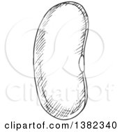 Clipart Of A Gray Sketched Kidney Bean Royalty Free Vector Illustration