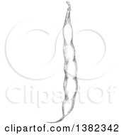 Clipart Of A Black And White Sketched Bean Pod Royalty Free Vector Illustration