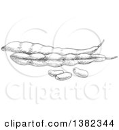 Poster, Art Print Of Black And White Sketched Beans And Pods