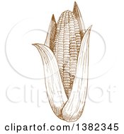 Clipart Of A Brown Sketched Ear Of Corn Royalty Free Vector Illustration