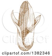 Poster, Art Print Of Brown Sketched Ear Of Corn