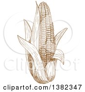 Poster, Art Print Of Brown Sketched Ear Of Corn