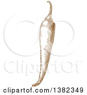 Clipart Of A Brown Sketched Chili Pepper Royalty Free Vector Illustration