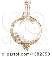 Poster, Art Print Of Brown Sketched Onion