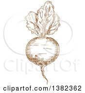 Clipart Of A Brown Sketched Beet Royalty Free Vector Illustration