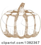 Clipart Of A Brown Sketched Pumpkin Royalty Free Vector Illustration