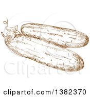 Clipart Of Brown Sketched Cucumbers Royalty Free Vector Illustration