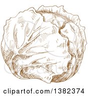 Poster, Art Print Of Brown Sketched Cabbage