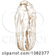 Clipart Of A Brown Sketched Cabbage Royalty Free Vector Illustration