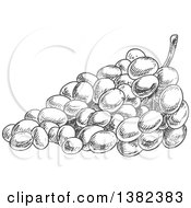Clipart Of A Gray Sketched Bunch Of Grapes Royalty Free Vector Illustration