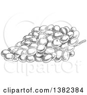 Clipart Of A Gray Sketched Bunch Of Grapes Royalty Free Vector Illustration
