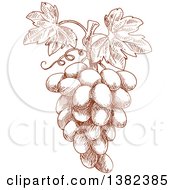 Poster, Art Print Of Brown Sketched Bunch Of Grapes