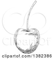 Clipart Of A Black And White Sketched Cherry Royalty Free Vector Illustration