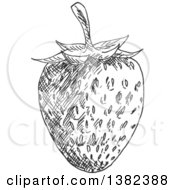 Poster, Art Print Of Black And White Sketched Strawberry