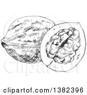 Clipart Of Black And White Sketched Walnuts Royalty Free Vector Illustration by Vector Tradition SM