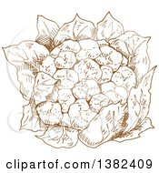 Clipart Of A Brown Sketched Head Of Cauliflower Royalty Free Vector Illustration