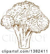 Clipart Of Brown Sketched Broccoli Royalty Free Vector Illustration