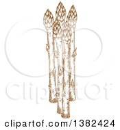 Clipart Of Brown Sketched Asparagus Royalty Free Vector Illustration by Vector Tradition SM