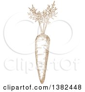 Clipart Of A Brown Sketched Carrot Royalty Free Vector Illustration