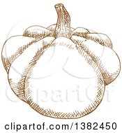 Clipart Of A Brown Sketched Pattypan Squash Royalty Free Vector Illustration