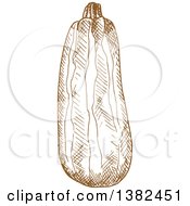 Clipart Of A Brown Sketched Zucchini Royalty Free Vector Illustration