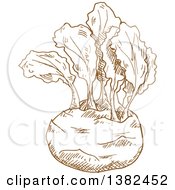 Clipart Of A Brown Sketched Kohlrabi Royalty Free Vector Illustration by Vector Tradition SM