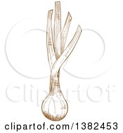 Clipart Of A Brown Sketched Leek Royalty Free Vector Illustration