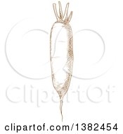 Clipart Of A Brown Sketched Daikon Radish Royalty Free Vector Illustration by Vector Tradition SM