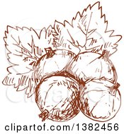 Poster, Art Print Of Brown Sketched Gooseberries