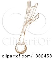 Clipart Of A Brown Sketched Leek Royalty Free Vector Illustration
