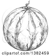 Clipart Of A Gray Sketched Watermelon Royalty Free Vector Illustration