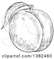 Clipart Of A Gray Sketched Peach Royalty Free Vector Illustration