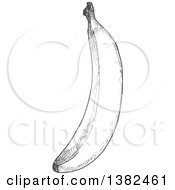 Clipart Of A Gray Sketched Banana Royalty Free Vector Illustration