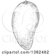 Clipart Of A Gray Sketched Mango Royalty Free Vector Illustration