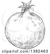 Clipart Of A Gray Sketched Pomegranate Royalty Free Vector Illustration