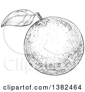 Clipart Of A Gray Sketched Navel Orange Royalty Free Vector Illustration by Vector Tradition SM