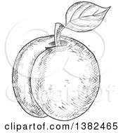 Poster, Art Print Of Gray Sketched Apricot