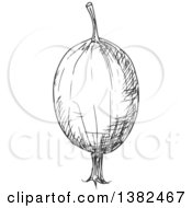 Clipart Of A Gray Sketched Gooseberry Royalty Free Vector Illustration
