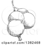 Poster, Art Print Of Gray Sketched Currants
